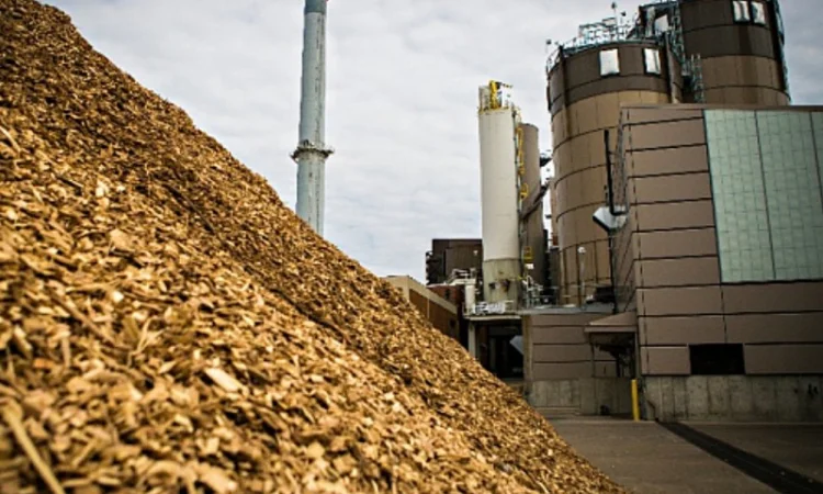 Куплю відходи для кормів будь які - фото № 1