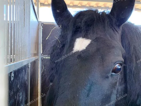Модульна стайня (конюшня) – модульні денники MetallDreamUA - фото № 2