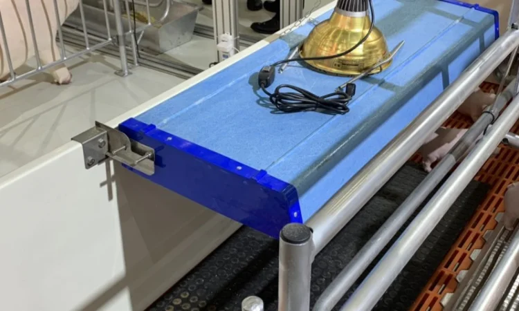 Будівництво і реконструкція свиноферм "ПІД КЛЮЧ" - фото № 2