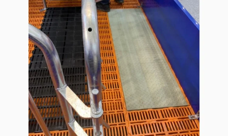 Будівництво і реконструкція свиноферм "ПІД КЛЮЧ" - фото № 3