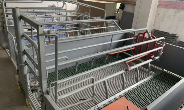 Будівництво і реконструкція свиноферм "ПІД КЛЮЧ" - фото № 4