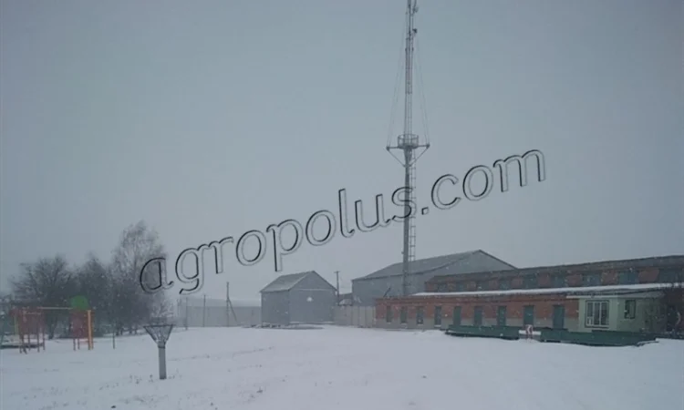 Строительство и ремонт зерноскладов - фото № 2