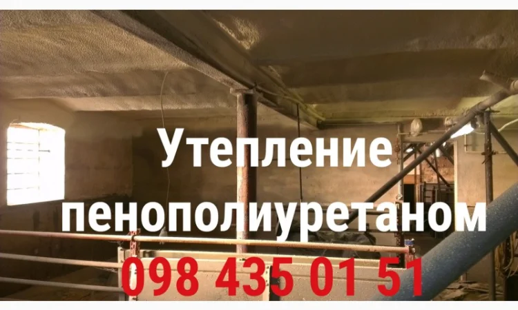 Утепление пенополиуретан (ппу) ангары, теплицы, овощехранилища, морозильные камеры - фото № 7