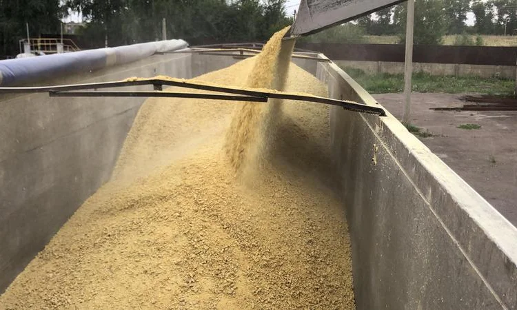 Сушка та очищення зерна в Києві та області - фото № 6