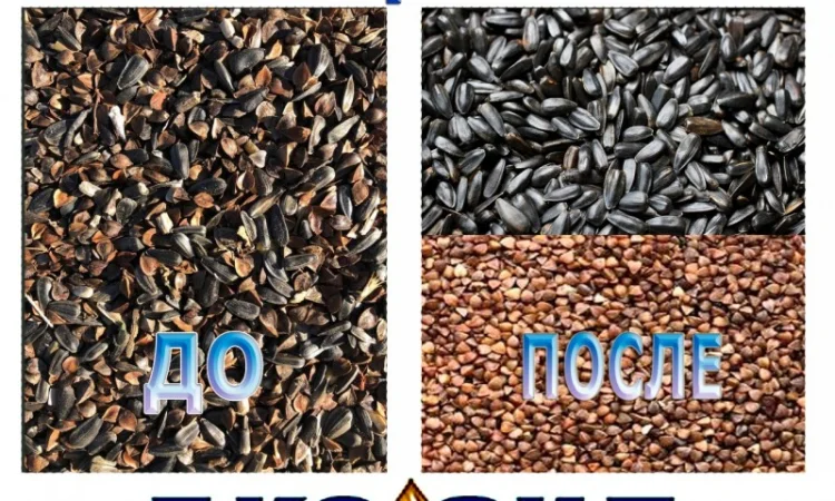 Послуги з сортування, розділення та сепарації зерна - фото № 1