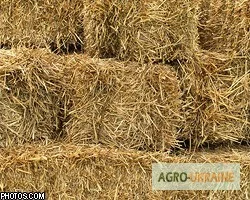 Послуги з тюкування сіна та соломи в Миколаєві - фото № 2