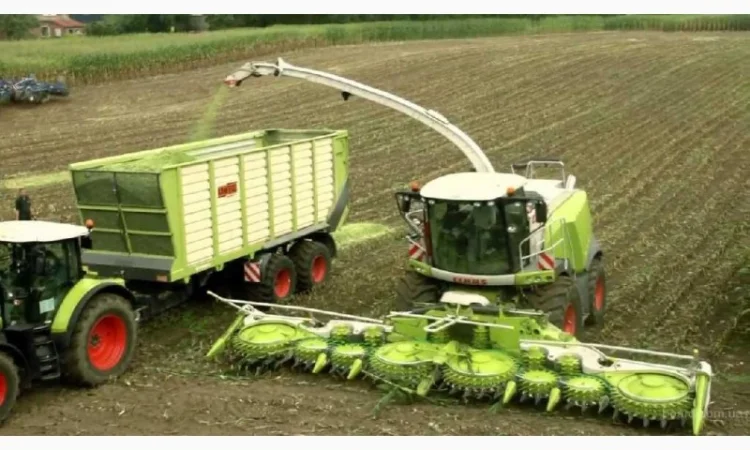 Косіння трави, оренда силосного комбайна та послуги з обробки землі - фото № 1