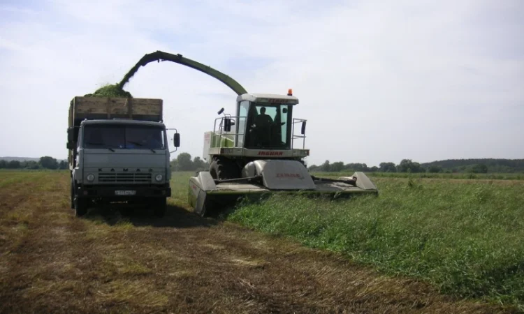 Аренда силосного комбайна и услуги пресс-подборщика в Одессе - фото № 1