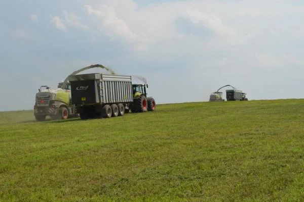 Аренда силосного комбайна и услуги пресс-подборщика в Херсоне - фото № 1