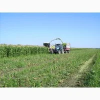 Послуги оренди комбайнів та косіння трави в Рівному - фото № 1