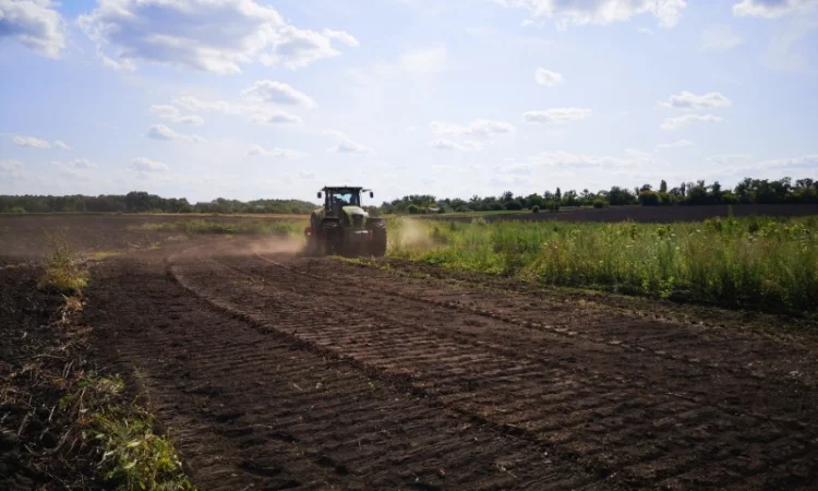 Услуга по выкорчевке растительности - фото № 1