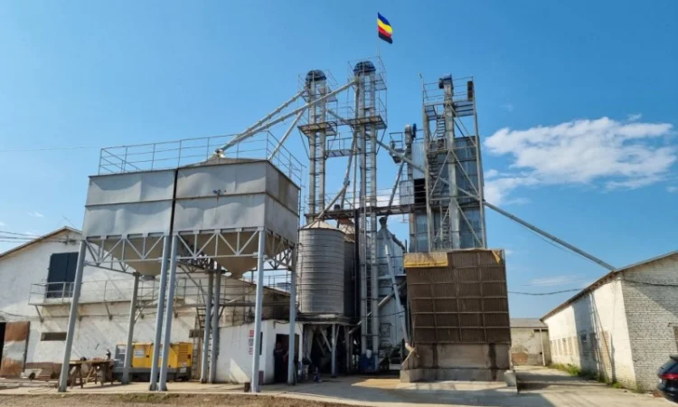 Услуги сушки и очистки зерна - фото № 1