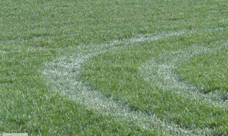 Внесение КАС агрокомплексом Роса - фото № 2