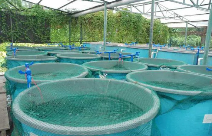 Изготовление ферм рыборазведения из полипропилена - фото № 2