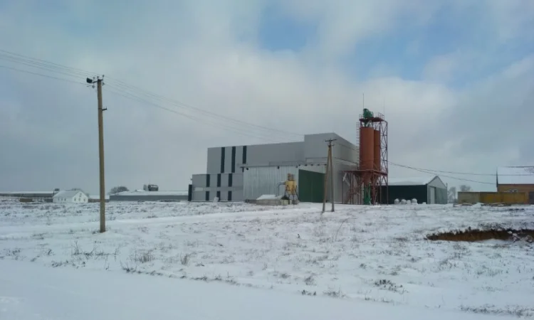 Доработка семян зерновых и масличных культур - фото № 3