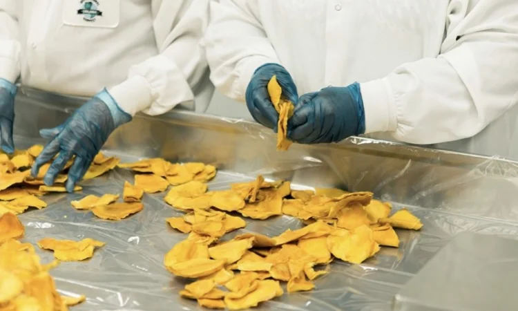 Послуги сушіння - фото № 1