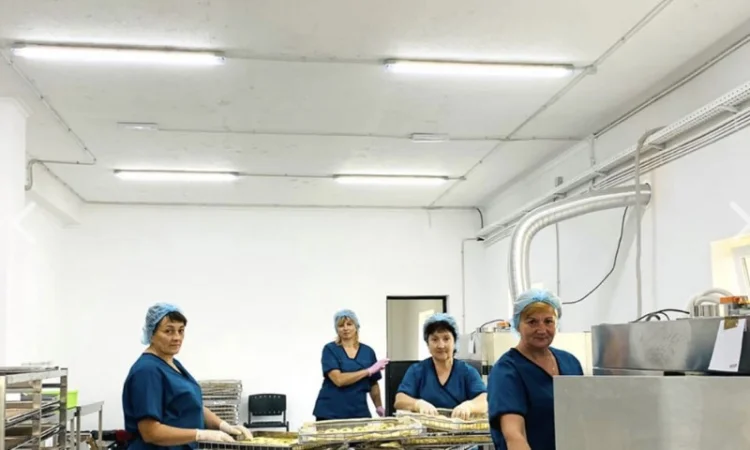 Послуги сушіння - фото № 2