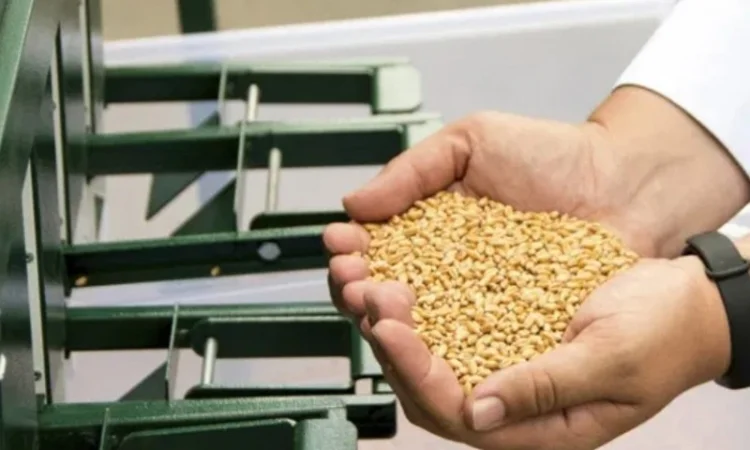 Очистка зерна и семян с высоким качеством - фото № 9