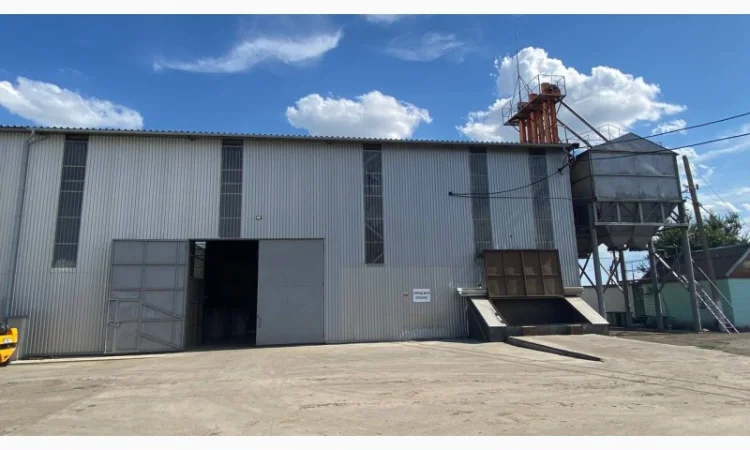 Очистка, калібрування, сортування, фотосепарація зерна будь-яких с/г культур - фото № 6