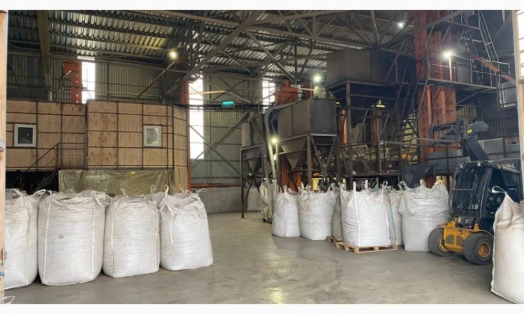 Очистка, калібрування, сортування, фотосепарація зерна будь-яких с/г культур - фото № 3