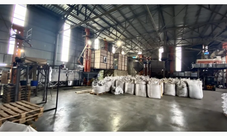 Очистка, калібрування, сортування, фотосепарація зерна будь-яких с/г культур - фото № 4