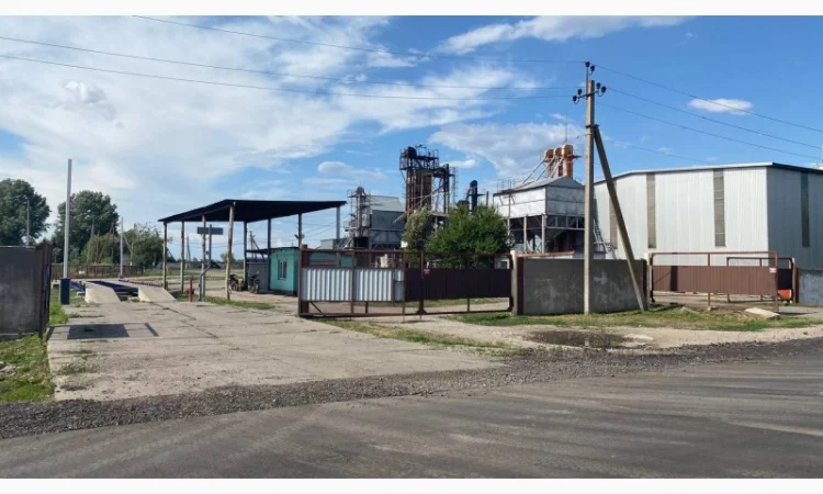 Очистка, калібрування, сортування, фотосепарація зерна будь-яких с/г культур - фото № 7