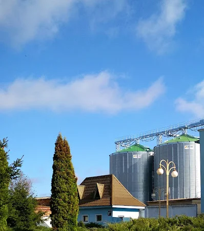 Здійснюємо заготівлю зернових та олійних культур для зернотрейдерів та послуги елеватора - фото № 1