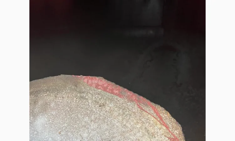 20-кубовые отстойники для вина – бочка, цистерна, резервуар - фото № 8