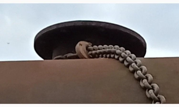 Ресивер 20 кубов, цистерна ассенизатор, бочка 12.5 и 16 кубов - фото № 9