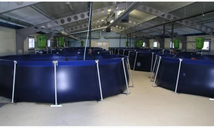 Бассейн для выращивания рыбы 10м3, УЗВ - фото № 3