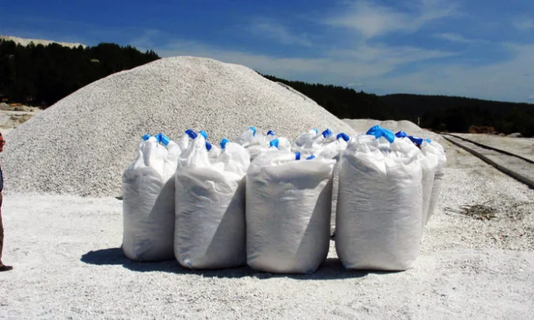 Биг бег от производителя - фото № 1