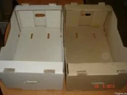 Купить картонный ящик под помидор - фото № 1