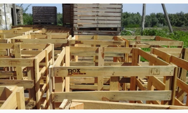 Контейнер для арбузов 1200х1200х1200 мм - фото № 2