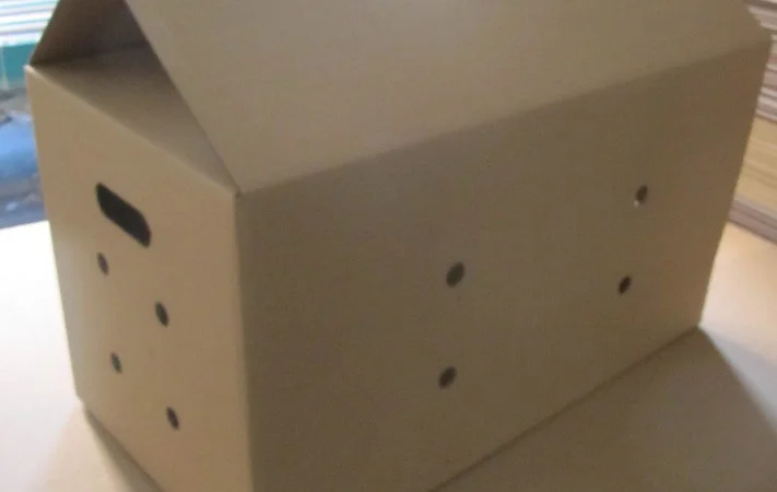 Картонные коробки под яйца различных размеров - фото № 1