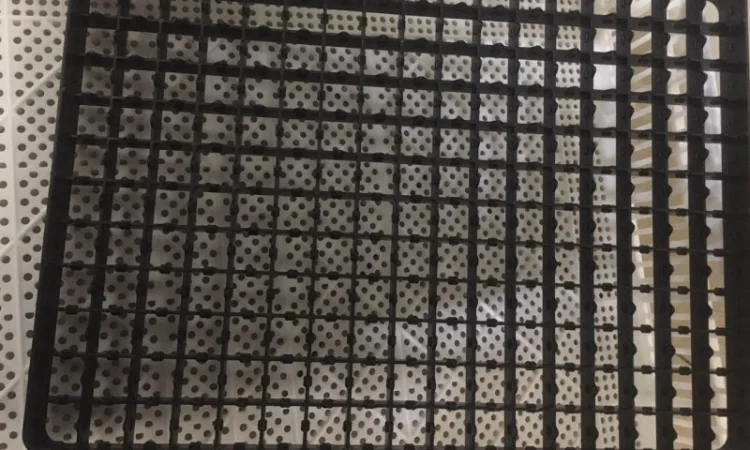 Інкубаційний лоток на 165 перепелиних яєць 50.5 x 36.5 x h 3 - фото № 8