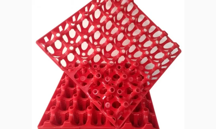 Лотки для яєць качок, перепела, бройлерів, гусей - фото № 5