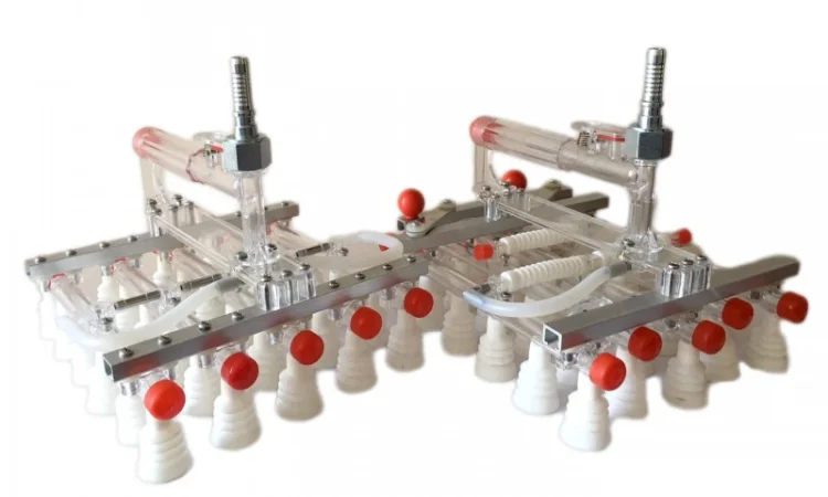 Лотки для яєць качок, перепела, бройлерів, гусей - фото № 6