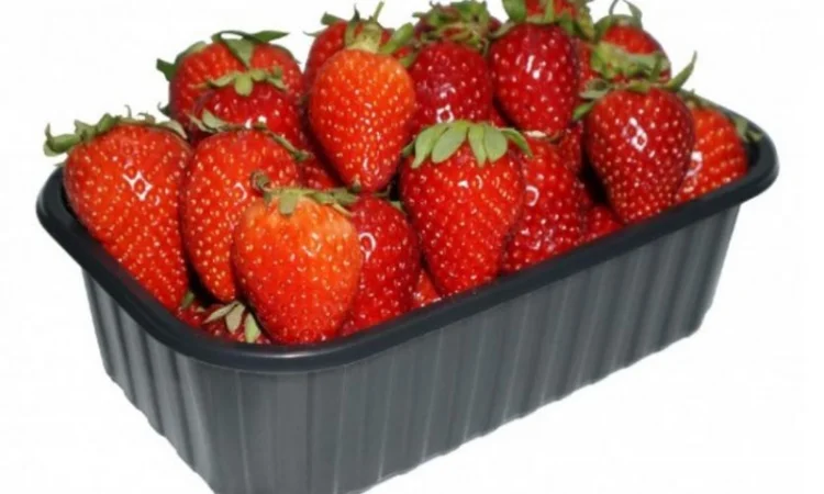 Пинетки, лотки и стаканчики для упаковки ягод и овощей - фото № 1