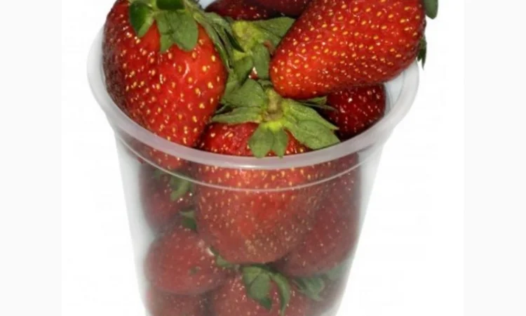 Пинетки, лотки и стаканчики для упаковки ягод и овощей - фото № 5