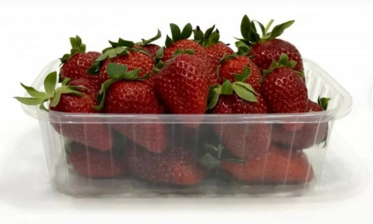 Пинетки, лотки и стаканчики для упаковки ягод и овощей - фото № 7