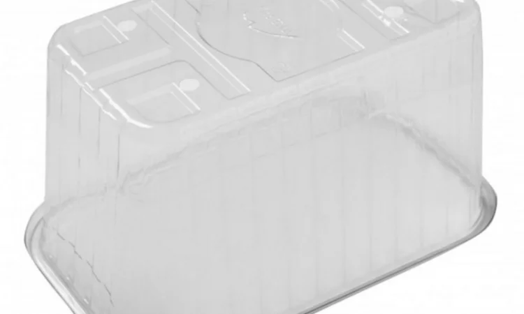 Пинетки, лотки и стаканчики для упаковки ягод и овощей - фото № 11