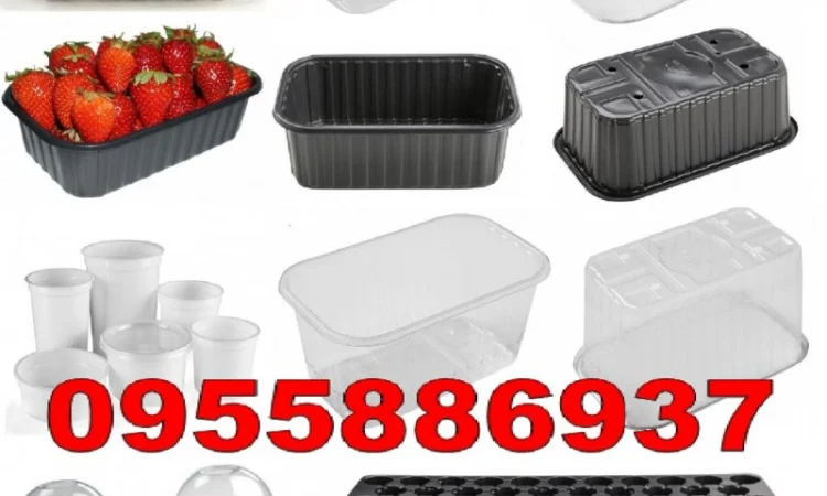 Одноразові купольні стакани з кришкою – 200мл, 300мл, 400мл, 500мл - фото № 2