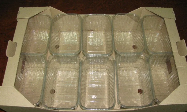 Гофролоток для упаковки 10 пластиковых пинеток 500г - фото № 1