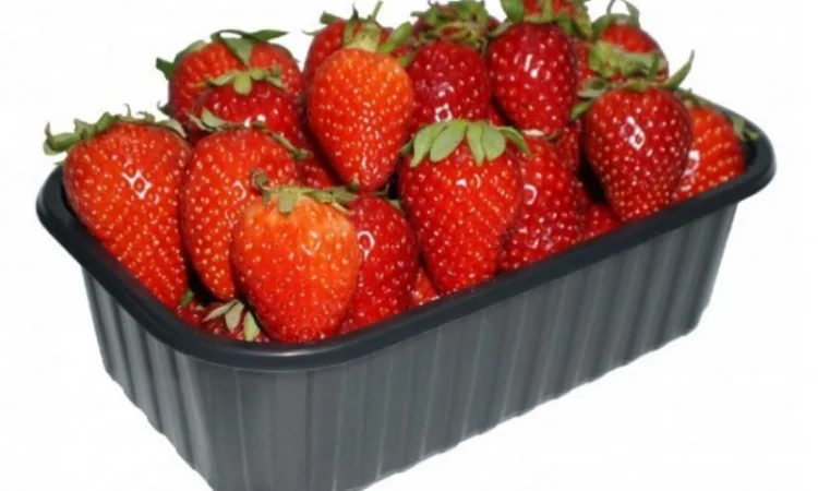 Пинетки 500 грамм - лоток для хранения ягод в евро ящиках - фото № 1