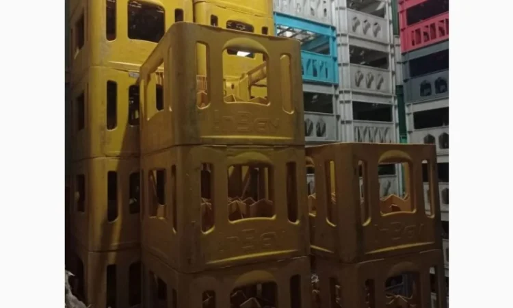 Куплю желтые пластиковые пивные ящики In bev - фото № 1