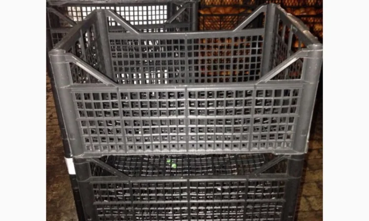 Купівля пластикових ящиків для цитрусових та інших продуктів - фото № 1