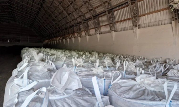 Біг-беги 95x95x180 см для транспортування - фото № 4