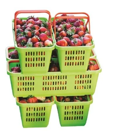 Лубянки пластиковые на 2 ручки для сбора ягод малины - фото № 1