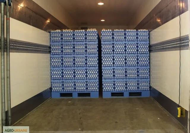 Тара и упаковка для яиц - фото № 1