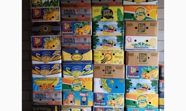 Бананові ящики - фото № 2